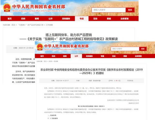 科技赋能农业，信息连接未来——南京航空航天大学金城学院信息工程学院科技扶农项目圆满完成